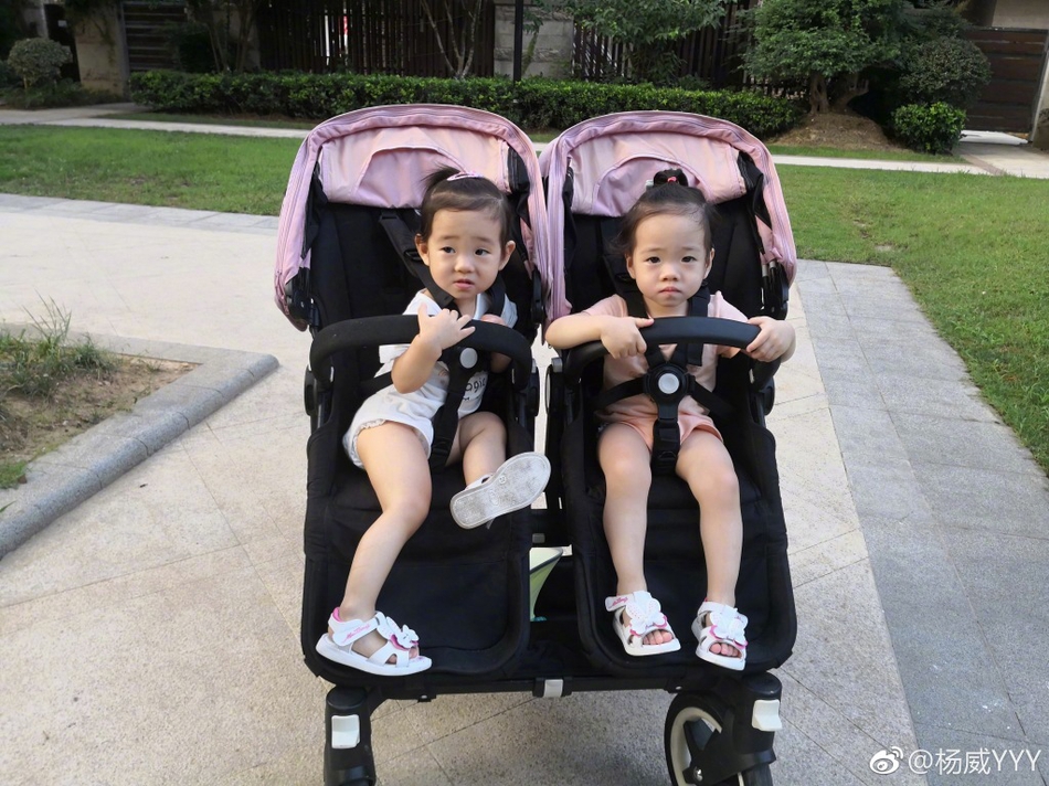 组图:杨威晒双胞胎女儿近照 欢欢乐乐小长腿初现越来越可爱