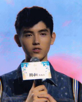 陈飞宇