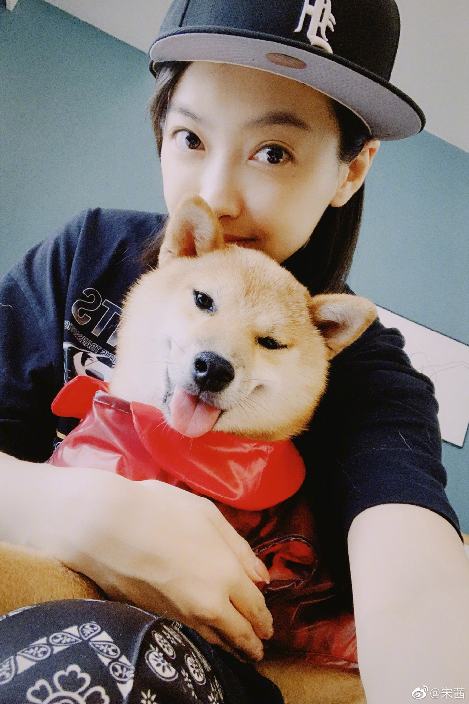 「奇趣网」宠物博主上线!宋茜与小八碗妹合照 粉丝自侃“猪狗不如“