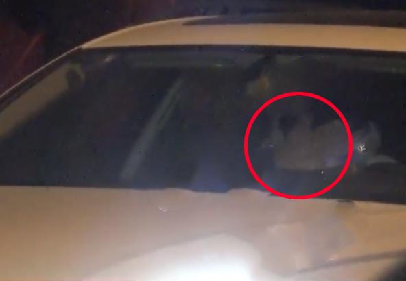 富力 汉堡-乐鱼app(leyu)官方网站-乐鱼官网