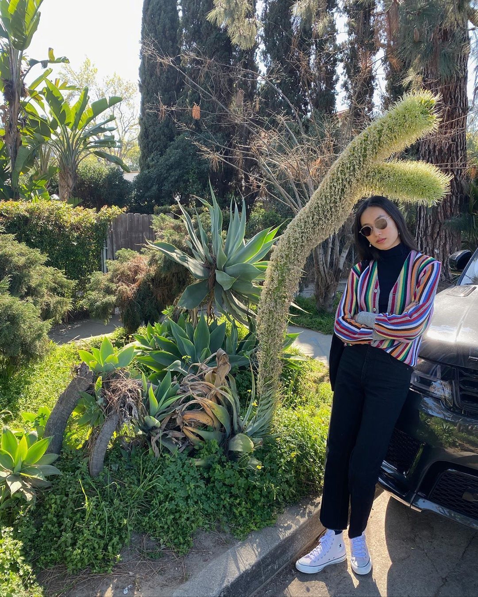 法布雷加斯转会