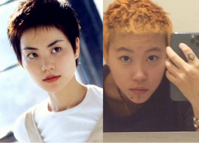 斯塔贝克vs布兰