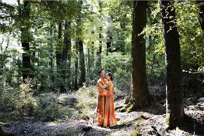 迪达-乐鱼app(leyu)官方网站-乐鱼官网