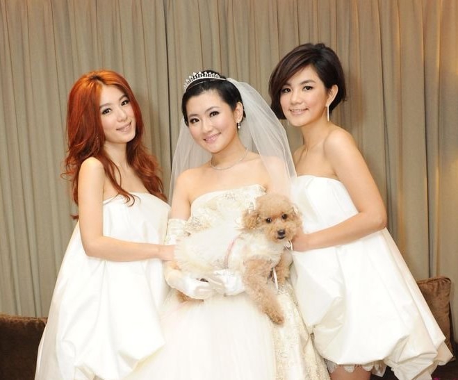 she婚纱_she合体照片(3)