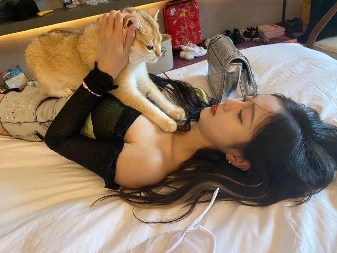 济南电视台跨年晚会-乐鱼app(leyu)官方网站-乐鱼官网