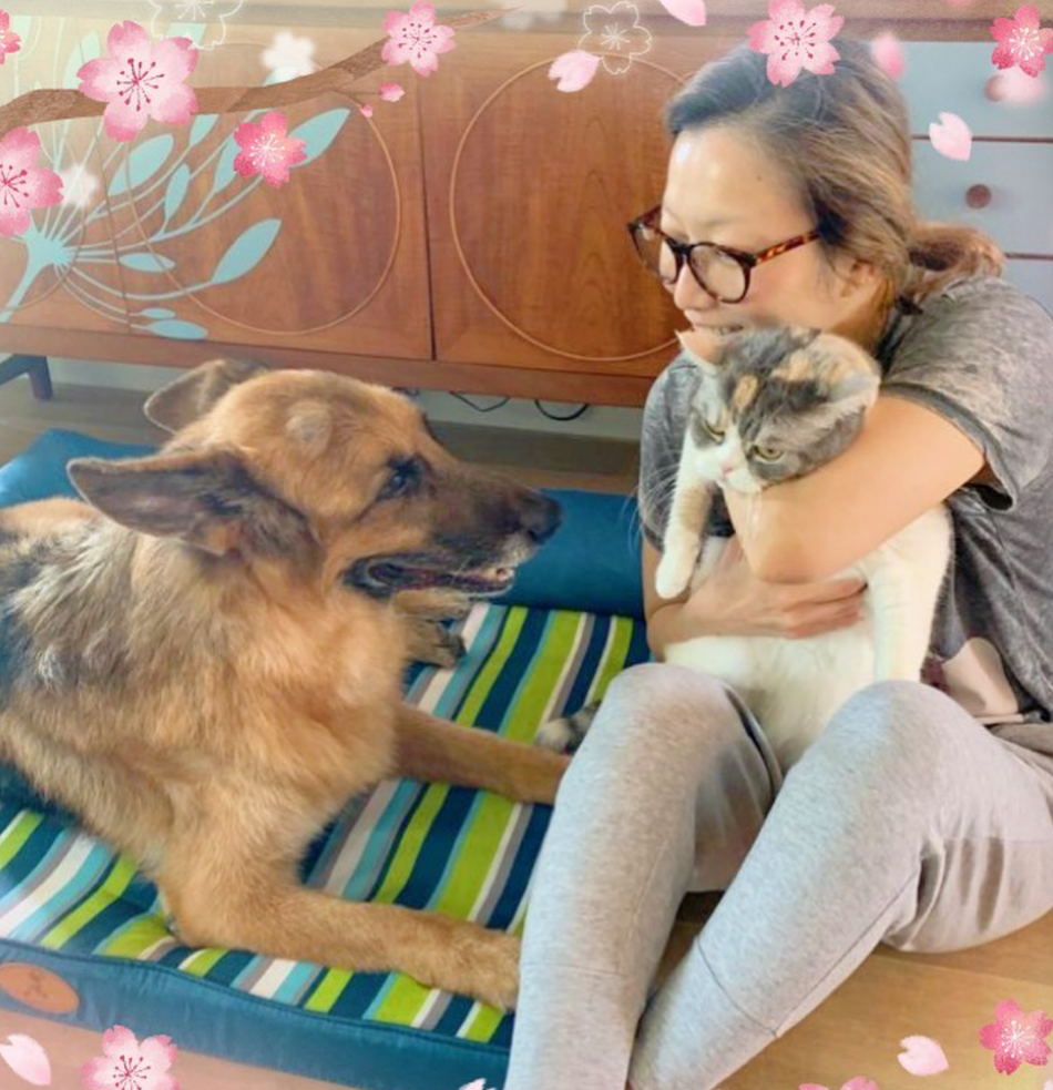 郑秀文为15岁爱犬庆生温馨对视 亲手做蛋糕感谢陪伴