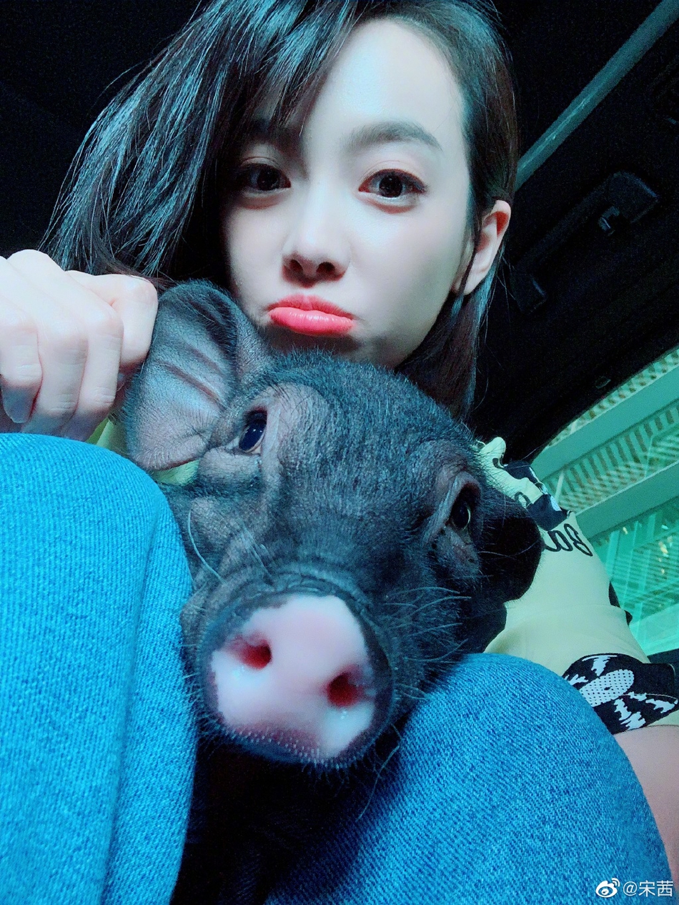 「奇趣网」宠物博主上线!宋茜与小八碗妹合照 粉丝自侃“猪狗不如“