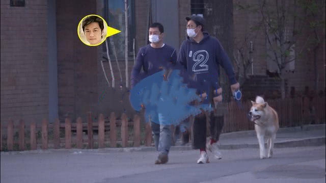 尼奥no2-乐鱼app(leyu)官方网站-乐鱼官网