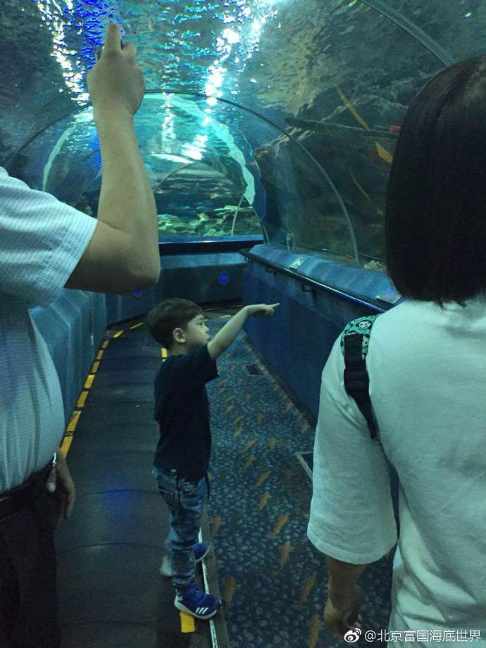 国安冠军-乐鱼app(leyu)官方网站-乐鱼官网