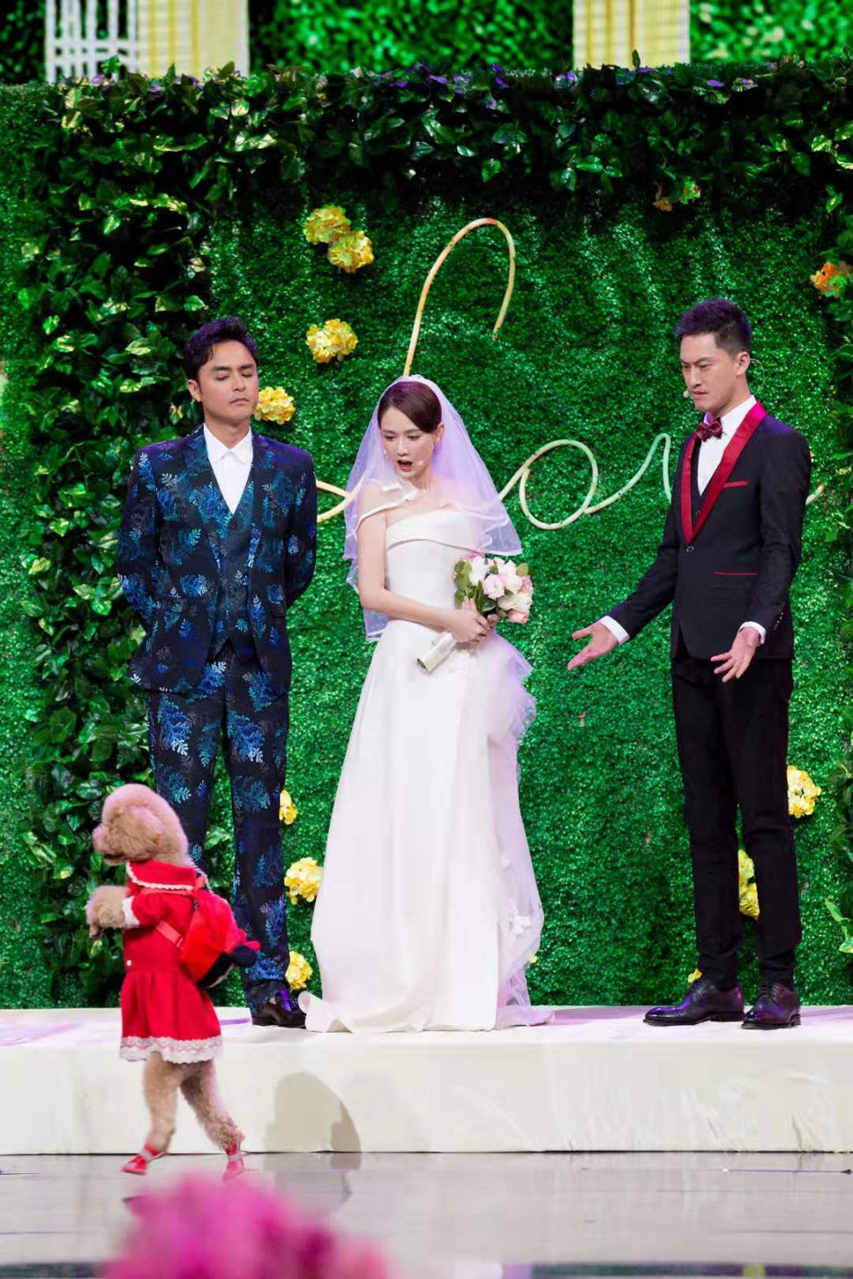 明道陈乔恩婚纱照_陈乔恩明道图片(2)