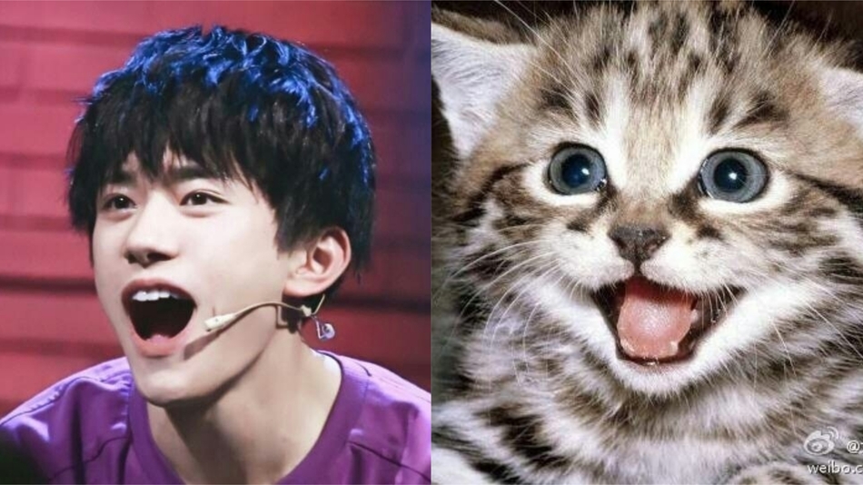 巴里切罗-乐鱼app(leyu)官方网站-乐鱼官网