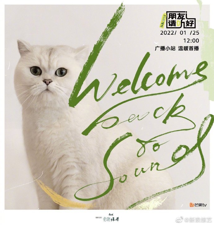 组图：《朋友请听好》定档1月25日 何炅谢娜井柏然董子健加盟_5