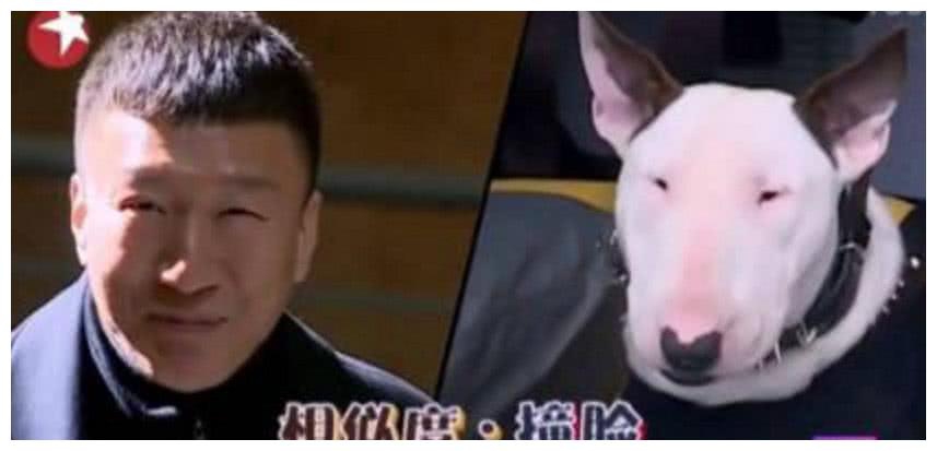 组图：孙红雷撞脸牛头梗后 外国佛像也惊现“孙红雷同款”