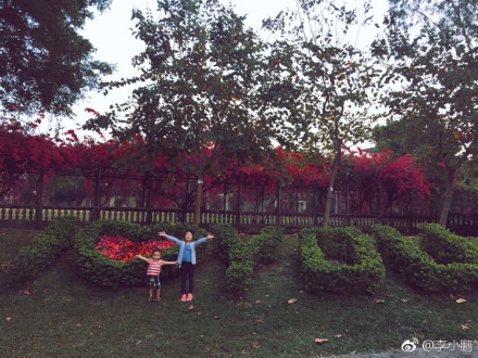 托蒂笑话-乐鱼app(leyu)官方网站-乐鱼官网