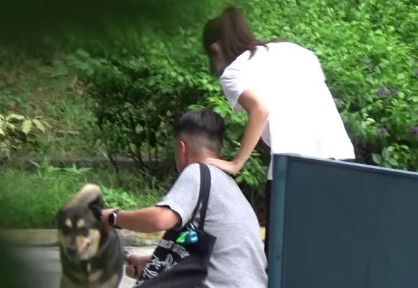 富贵逼人是什么意思 c4c6-48b95e4593edc066be6ccae0f3ea46b4.png