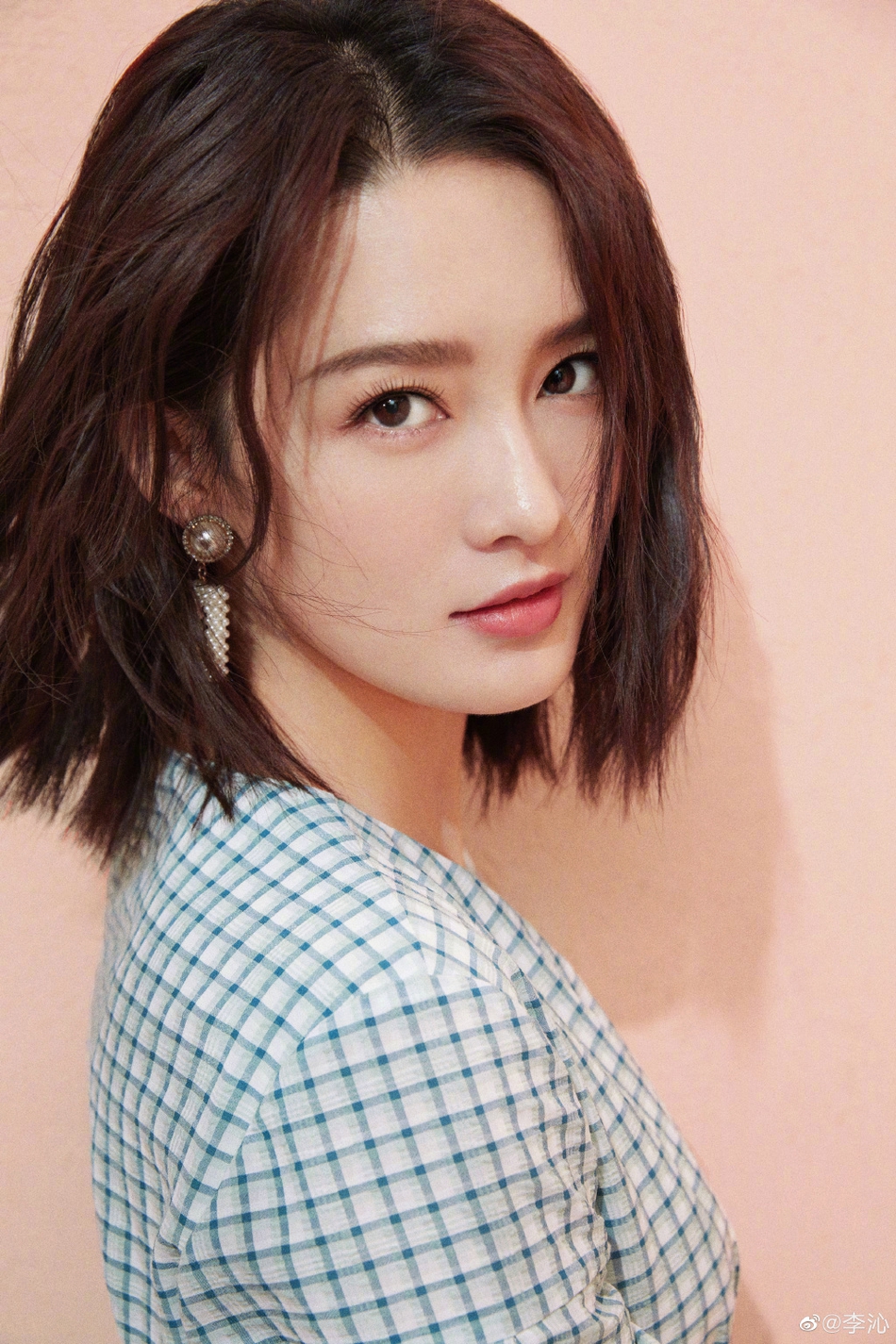 法布雷加斯转会