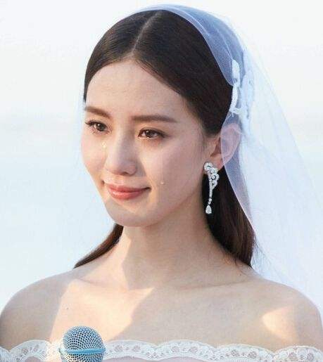 演员刘诗诗,演员刘诗诗个人资料简介