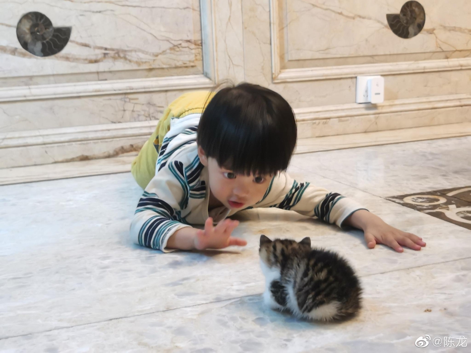 伯纳乌王子-乐鱼app(leyu)官方网站-乐鱼官网