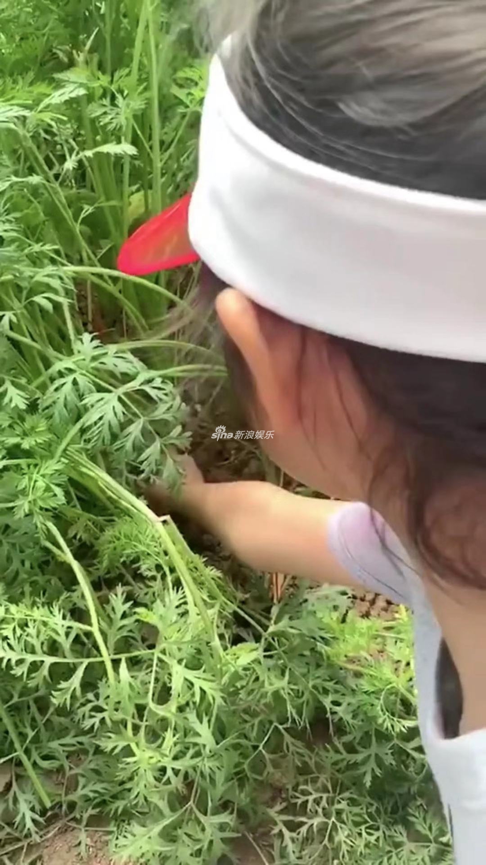 干农活长水泡是什么原理_干农活图片(2)