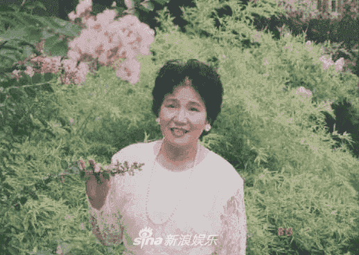 纽约尼克斯vs热火