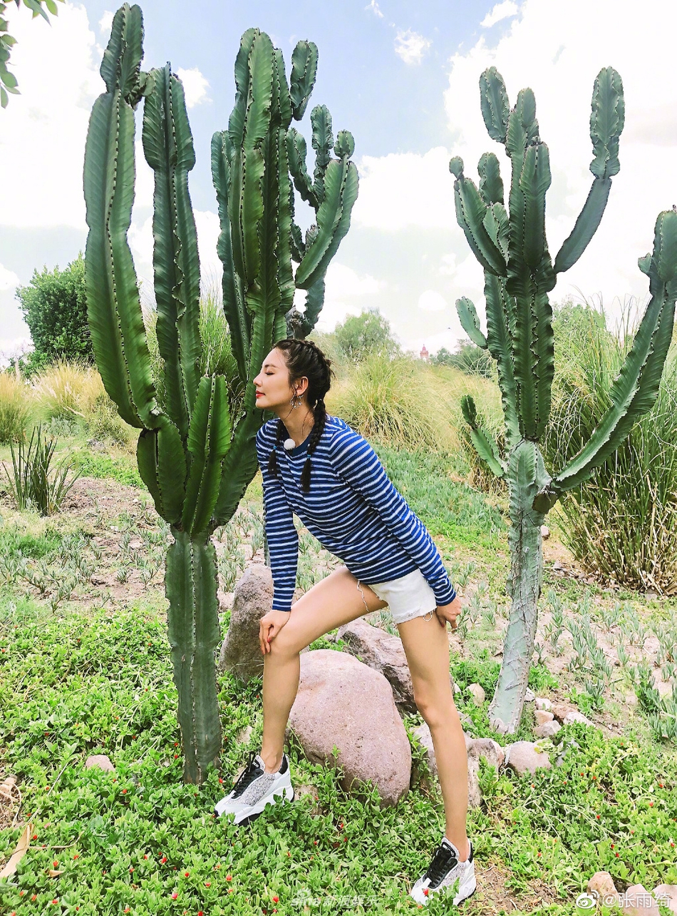 陆佳璐-乐鱼app(leyu)官方网站-乐鱼官网