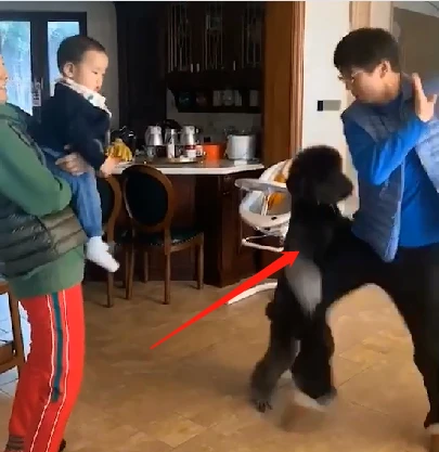 恶搞孙子视频大全,恶搞孙子视频大全集
