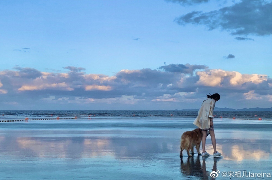 风衣海边_男生风衣海边背影头像