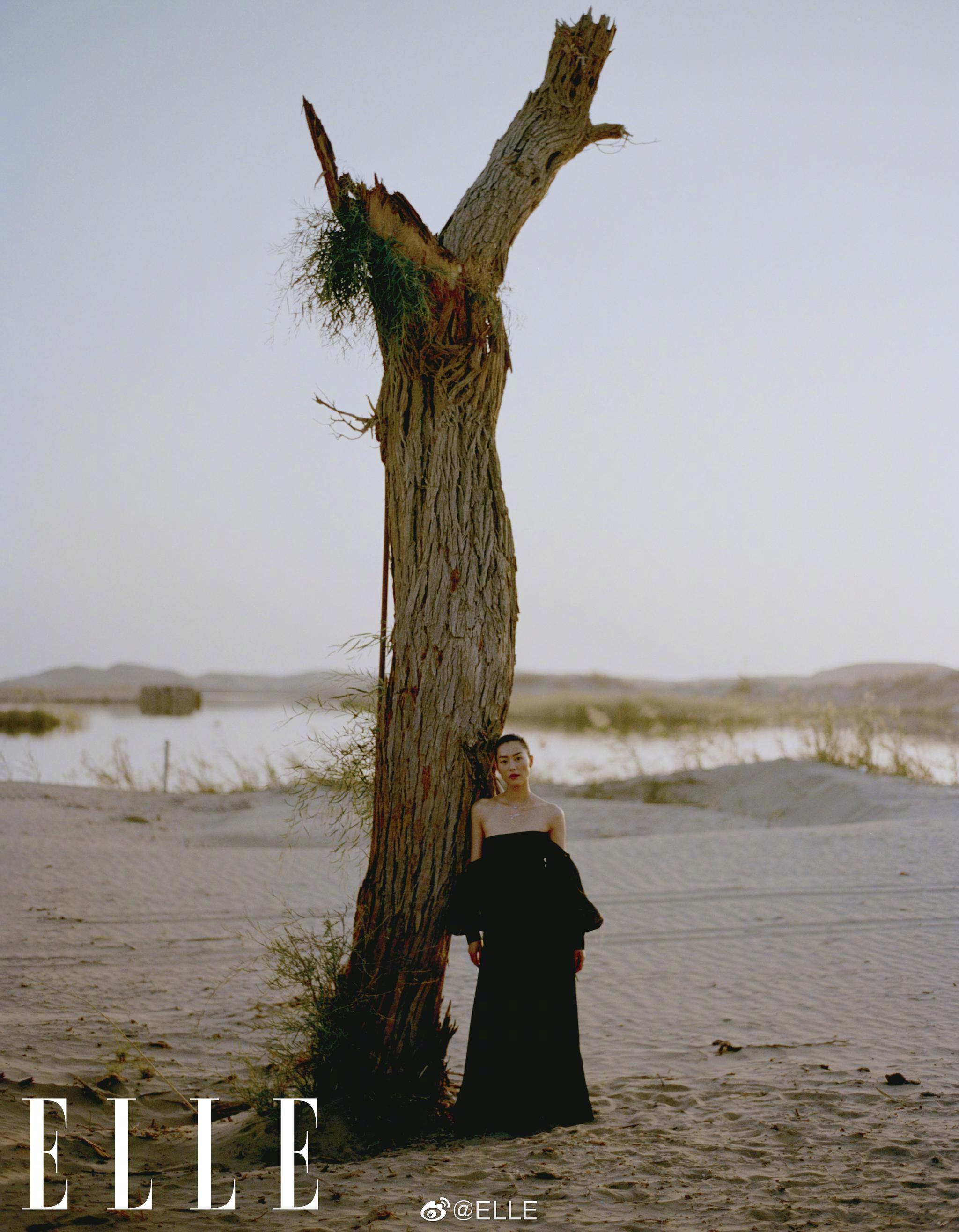 拍照怎么把背景拍的很大 10e7-ihyxcrp3720110.jpg