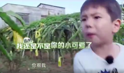 巴萨vs马德里竞技