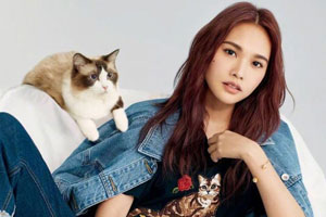 杨丞琳登杂志演绎猫系女孩 表情高冷
