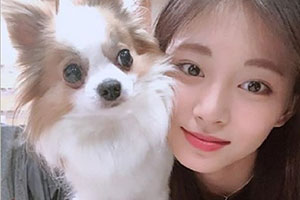 TWICE周子瑜怀抱宠物犬晒合影