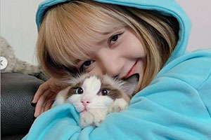 Lisa抱猫咪合影 喵星人变表情包