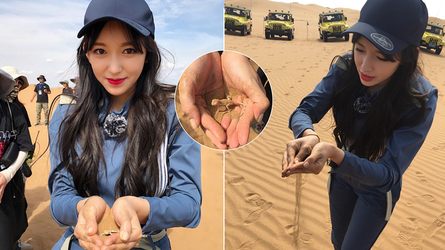 程潇沙漠徒手抓蜥蜴 甜笑捧“小可爱”合照胆子超大