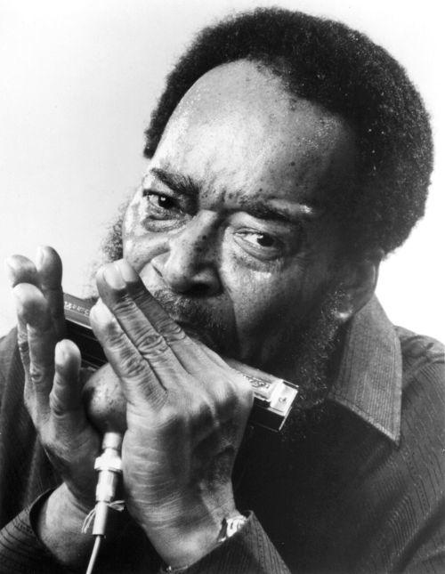 詹姆斯·科顿(James Cotton)