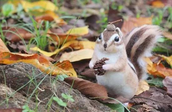 必须献上膝盖了!这些小动物竟然都是羊毛毡做的