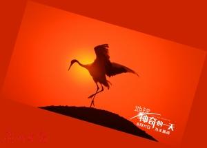 《地球:神奇的一天》剧照