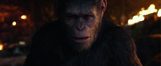 夜晚篝火暗光下的凯撒