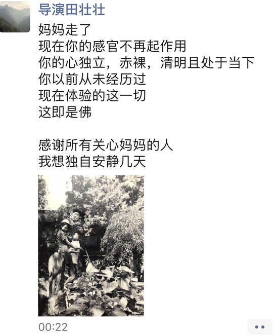 田壯壯發文