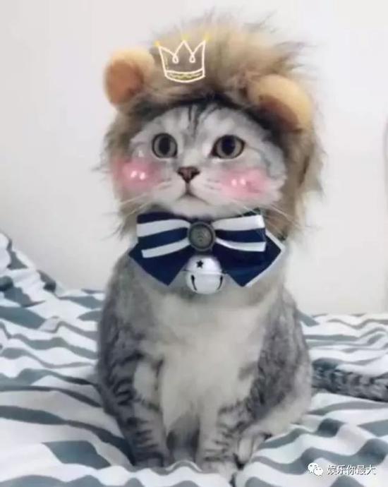 当网红们关掉美颜滤镜后,真的很惨不忍睹了.|网