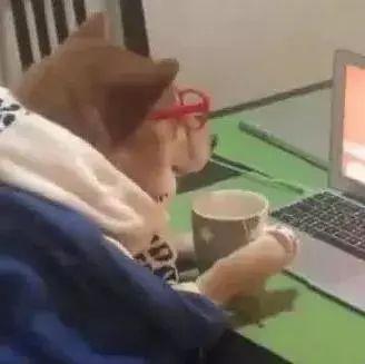 又一部双男主,他俩这回能爆吗?