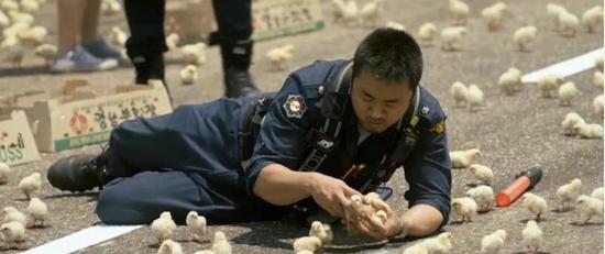 《釜山行》硬汉曾是小鲜肉 还当过UFC冠军教练