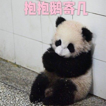 本文选自微信公众号:观察者网(guanchacn)