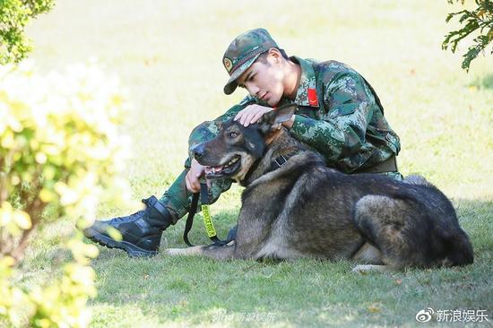 姜潮练出犬语十级