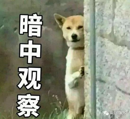 纨绔富二代×高级CFO正确打开方式竟是卖猪父子？