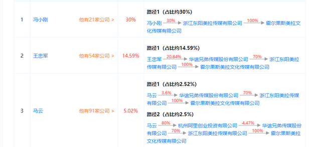 冯小刚、华谊兄弟旗下影视壳公司申请注销