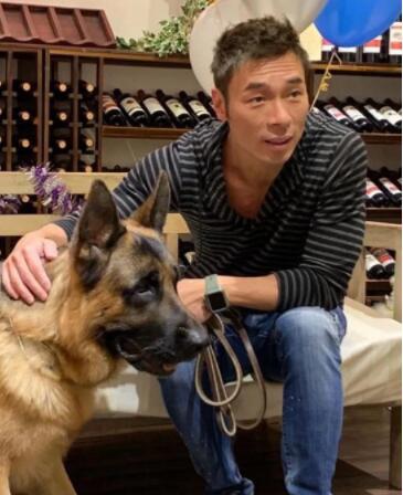 许志安生日郑秀文陪游维也纳 形影不离感情甜蜜