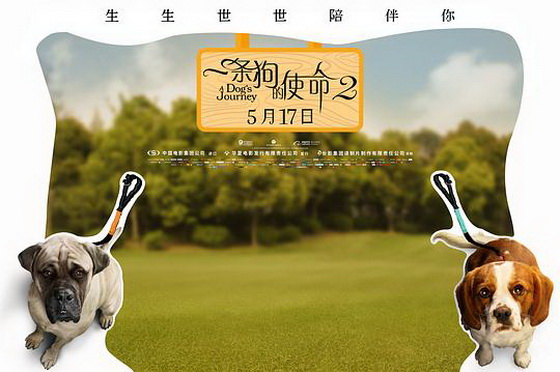 电影《一条狗的使命2》海报