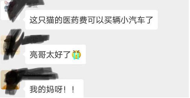 有爱心!张亮一家为救小猫花了一辆小轿车的钱
