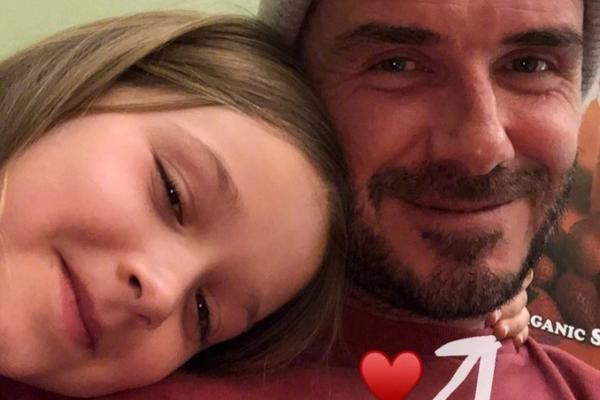 绝对巨星索尔斯克亚