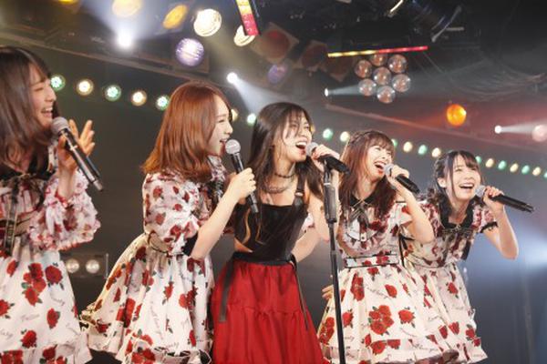 纽约尼克斯vs热火